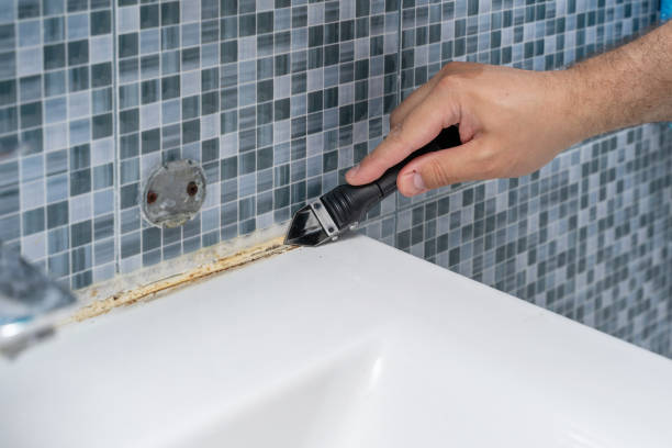 Mold Removal Process in Southern Shops, SC