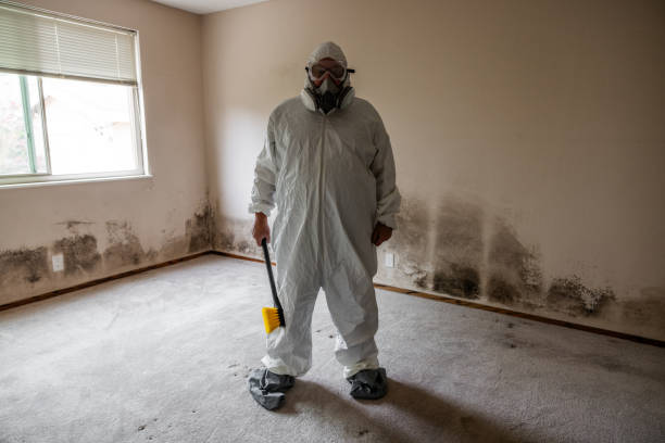Best Toxic Mold Removal  in Southern Shops, SC